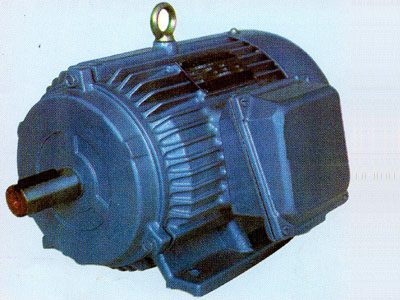 YH高轉(zhuǎn)差率電機(jī)